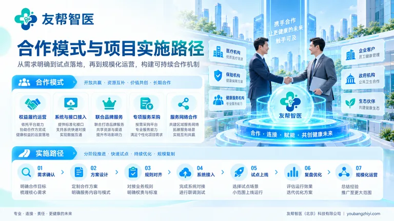 合作模式与项目实施示意图,展示需求确认、方案设计、规则对齐、系统接入、试点与复盘